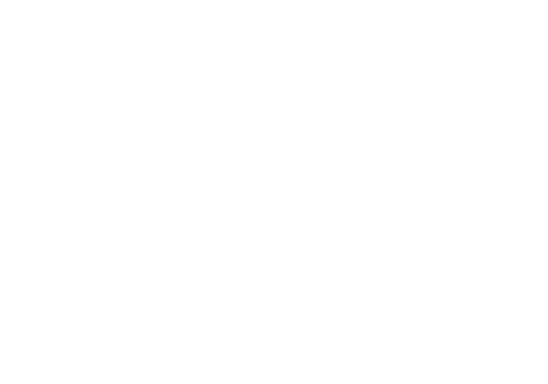 Fear-Fame-Film-Festival---BEST-DIRECTOR---2025