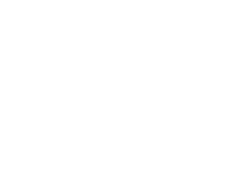 ScreamU-Film-Festival---BEST-DIRECTOR---2025